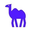Camel AI