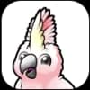 Cockatoo