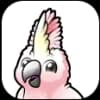 Cockatoo
